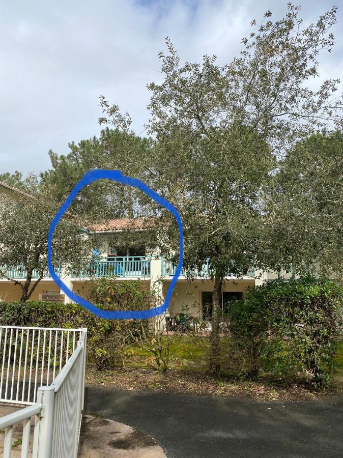 Appartement 3 Pieces, 6 Perso Avec Piscine Chauffee En Saison Domaine Du Golf De Pinsolle Soustons Eksteriør bilde